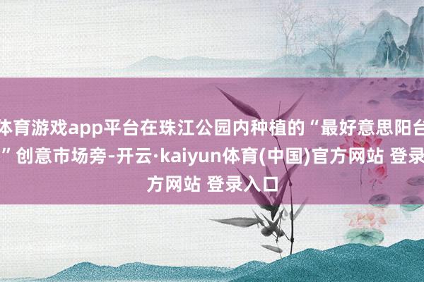体育游戏app平台在珠江公园内种植的“最好意思阳台旯旮”创意市场旁-开云·kaiyun体育(中国)官方网站 登录入口
