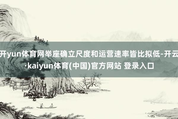 开yun体育网举座确立尺度和运营速率皆比拟低-开云·kaiyun体育(中国)官方网站 登录入口